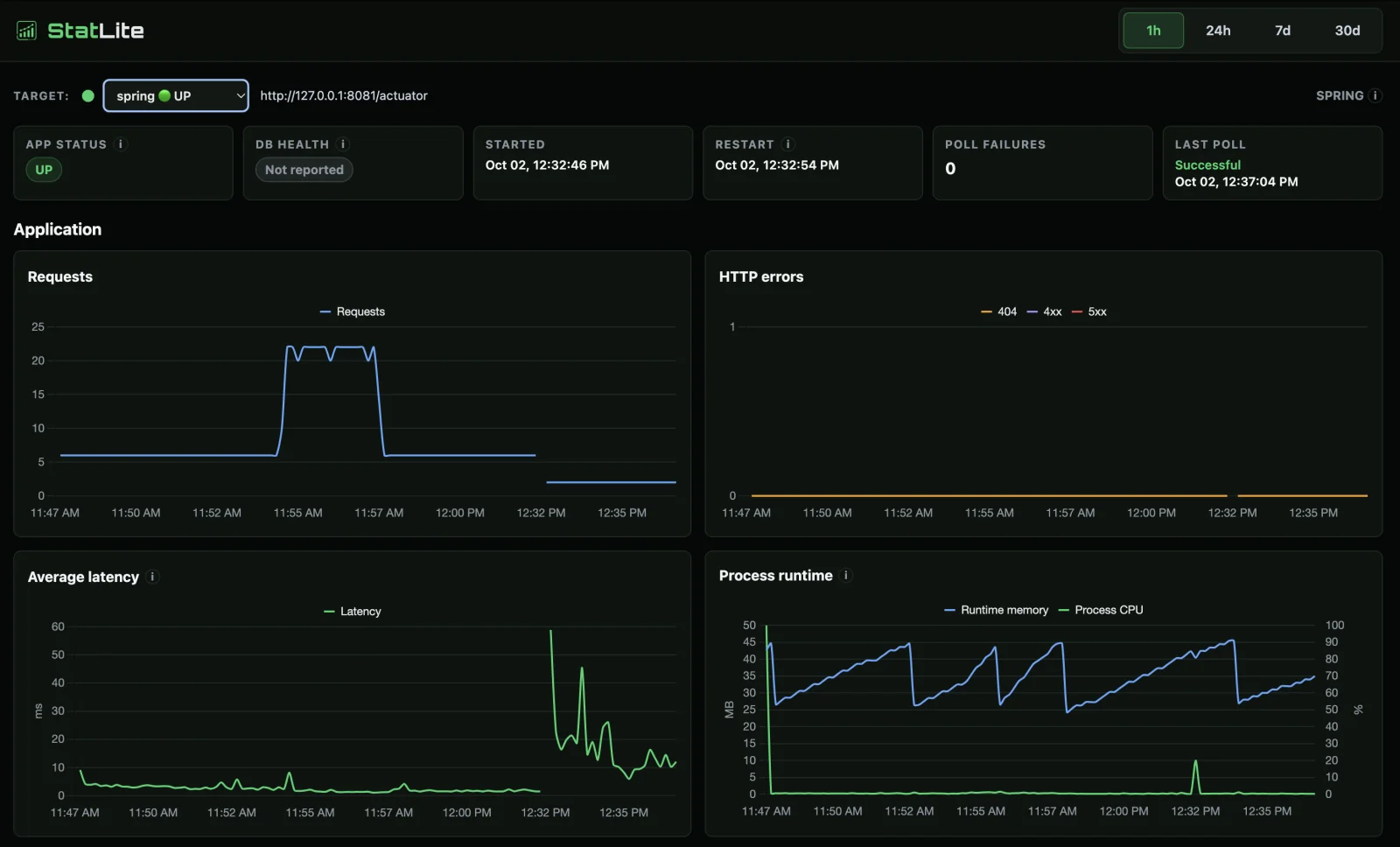 Spring Boot StatLite dashboard with request, CPU, latency, and JVM runtime-memory curves.